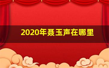 2020年聂玉声在哪里