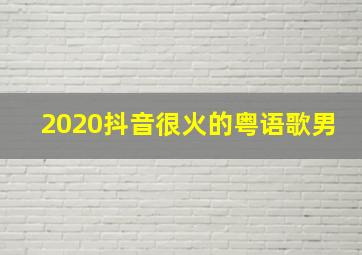 2020抖音很火的粤语歌男