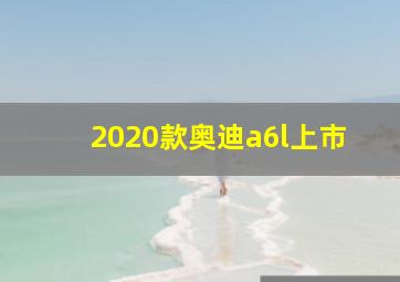 2020款奥迪a6l上市