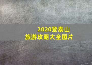 2020登泰山旅游攻略大全图片