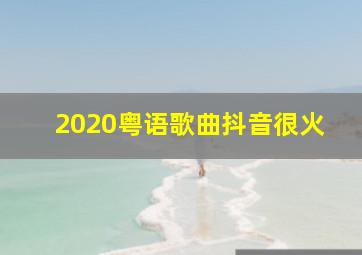 2020粤语歌曲抖音很火