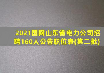 2021国网山东省电力公司招聘160人公告职位表(第二批)