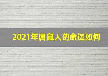 2021年属鼠人的命运如何