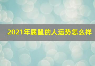 2021年属鼠的人运势怎么样