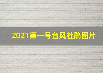 2021第一号台风杜鹃图片