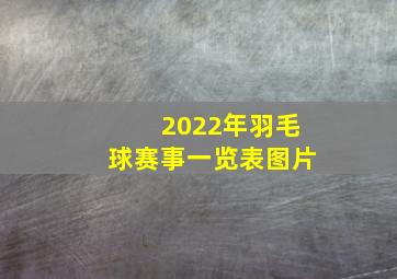 2022年羽毛球赛事一览表图片