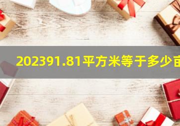 202391.81平方米等于多少亩