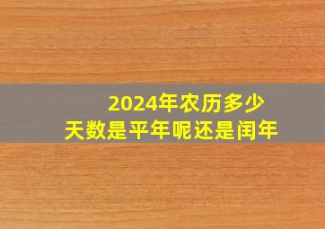 2024年农历多少天数是平年呢还是闰年