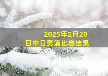 2025年2月20日中日男篮比赛结果