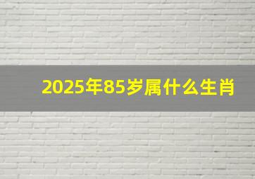 2025年85岁属什么生肖