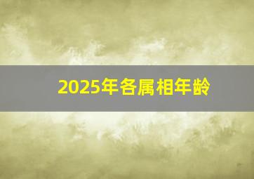 2025年各属相年龄