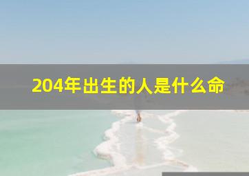 204年出生的人是什么命