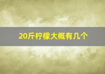 20斤柠檬大概有几个