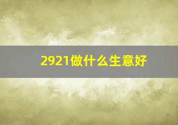 2921做什么生意好