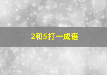 2和5打一成语