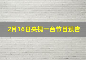 2月16日央视一台节目预告