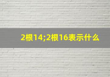 2根14;2根16表示什么