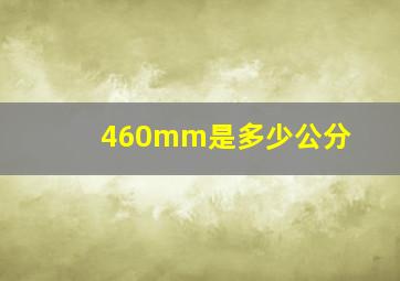 460mm是多少公分