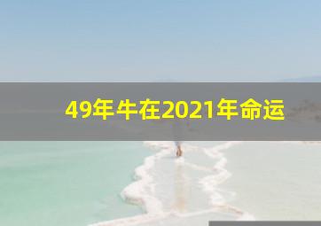 49年牛在2021年命运