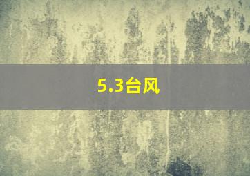 5.3台风