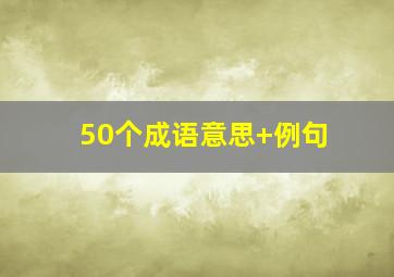 50个成语意思+例句