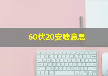 60伏20安啥意思