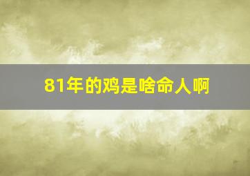 81年的鸡是啥命人啊