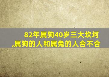 82年属狗40岁三大坎坷,属狗的人和属兔的人合不合