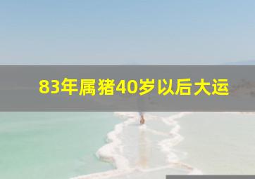 83年属猪40岁以后大运