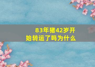 83年猪42岁开始转运了吗为什么