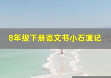 8年级下册语文书小石潭记