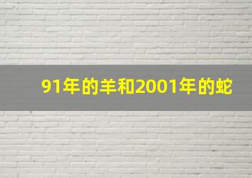 91年的羊和2001年的蛇