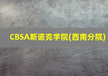 CBSA斯诺克学院(西南分院)