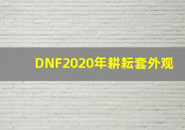 DNF2020年耕耘套外观