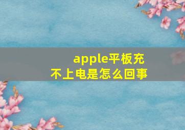 apple平板充不上电是怎么回事