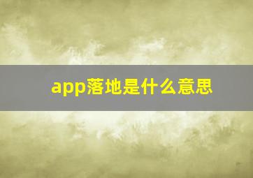 app落地是什么意思