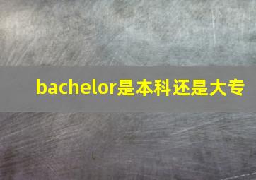 bachelor是本科还是大专