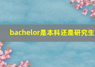 bachelor是本科还是研究生