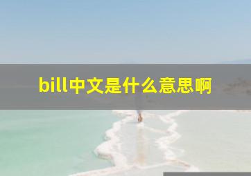 bill中文是什么意思啊