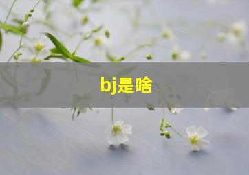 bj是啥