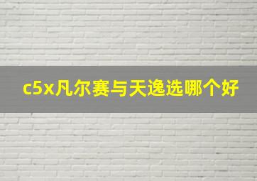 c5x凡尔赛与天逸选哪个好