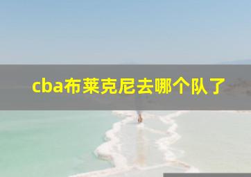 cba布莱克尼去哪个队了