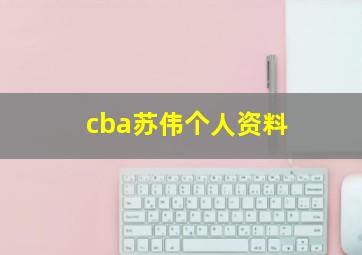 cba苏伟个人资料