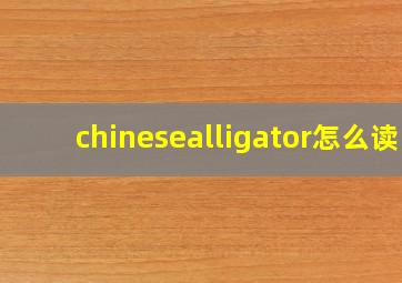 chinesealligator怎么读