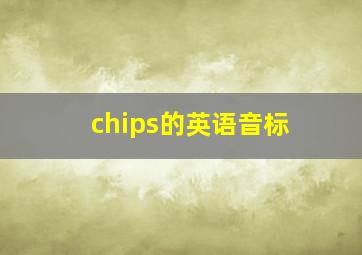 chips的英语音标