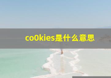 co0kies是什么意思