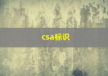 csa标识