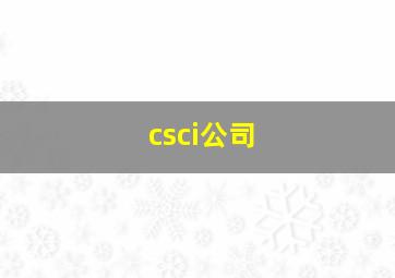 csci公司