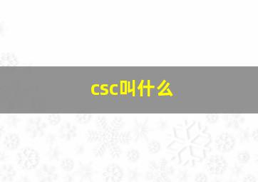 csc叫什么