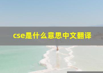 cse是什么意思中文翻译